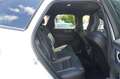 Volvo XC60 R-Design Plus Dark CarP. Harman-K. 1.Hd Weiß - thumbnail 27