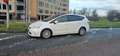 Toyota Prius+ Prius  1.8 Aspiration Ltd Blanco - thumbnail 4