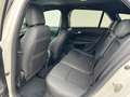 Fiat Tipo Kombi 1.4 T-Jet 120 S-Design Weiß - thumbnail 17