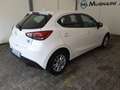 Mazda 2 1.5 90cv Skyactiv-G Evolve + Comfort Pack Bianco - thumbnail 13