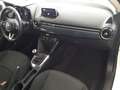 Mazda 2 1.5 90cv Skyactiv-G Evolve + Comfort Pack Bianco - thumbnail 9