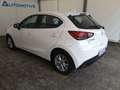 Mazda 2 1.5 90cv Skyactiv-G Evolve + Comfort Pack Bianco - thumbnail 10