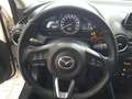 Mazda 2 1.5 90cv Skyactiv-G Evolve + Comfort Pack Bianco - thumbnail 7