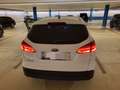 Ford Focus Focus Traveller 1,6 TDCi Trend Trend Weiß - thumbnail 3