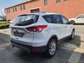 Ford Kuga 2.0 TDCI 163 CV 4WD Pow. Titanium Bianco - thumbnail 6