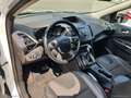 Ford Kuga 2.0 TDCI 163 CV 4WD Pow. Titanium Bianco - thumbnail 8