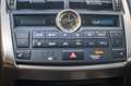 Lexus NX 300h AWD25th Ed | AFN TREKHAAK | CAMERA | NAVI | LMV Сірий - thumbnail 43