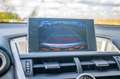 Lexus NX 300h AWD25th Ed | AFN TREKHAAK | CAMERA | NAVI | LMV Grau - thumbnail 6