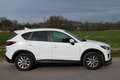 Mazda CX-5 G165/Challenge Weiß - thumbnail 3