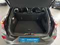 Ford Puma Hybrid ST-Line X #HYBRID #AUTOMATIK #PANO Grau - thumbnail 13