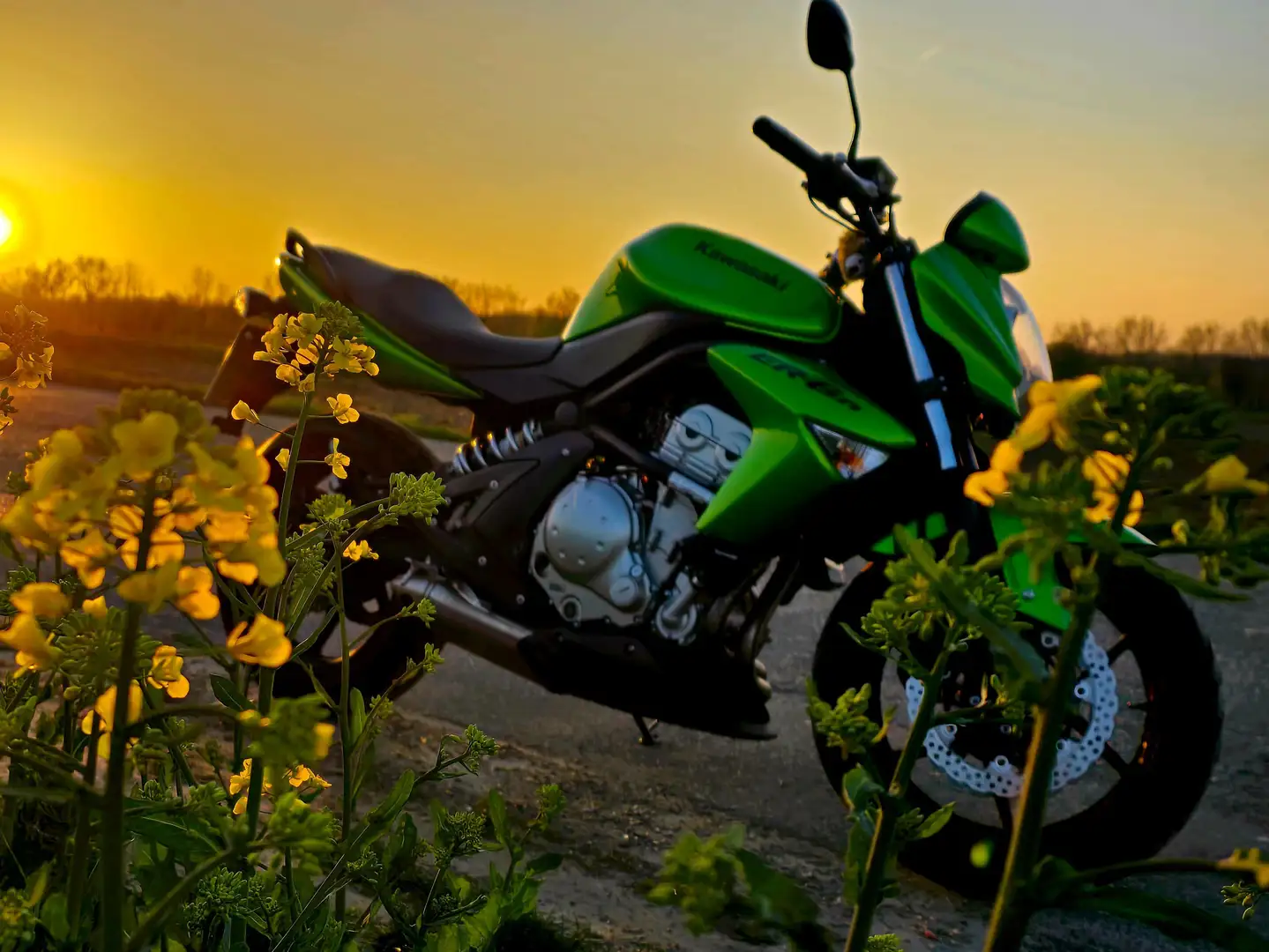 Kawasaki ER - 6 N Vert - 1