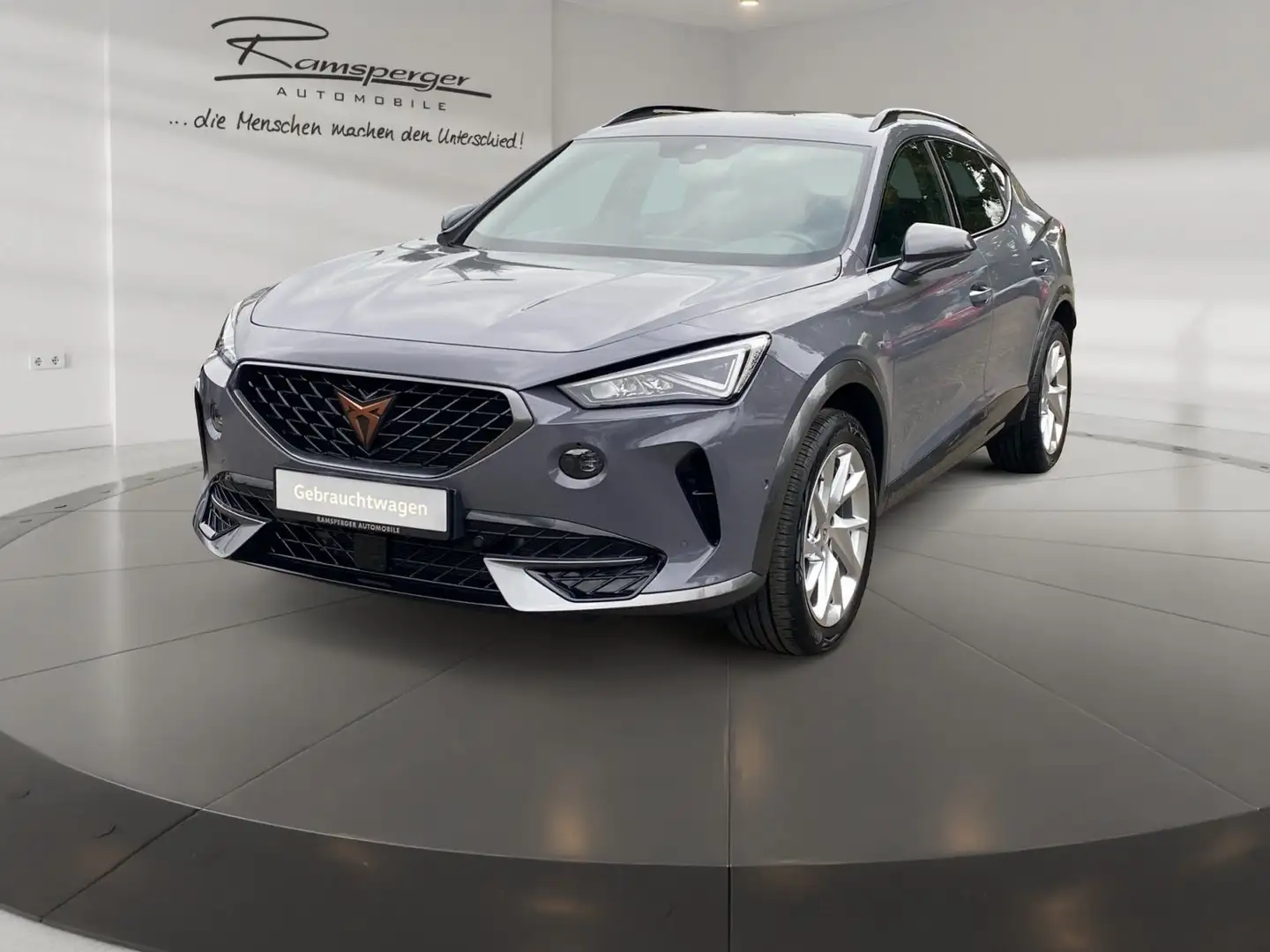 CUPRA Formentor 1.5 TSI DSG LED/AHK/Kamera/Assist/uvm. Grau - 2