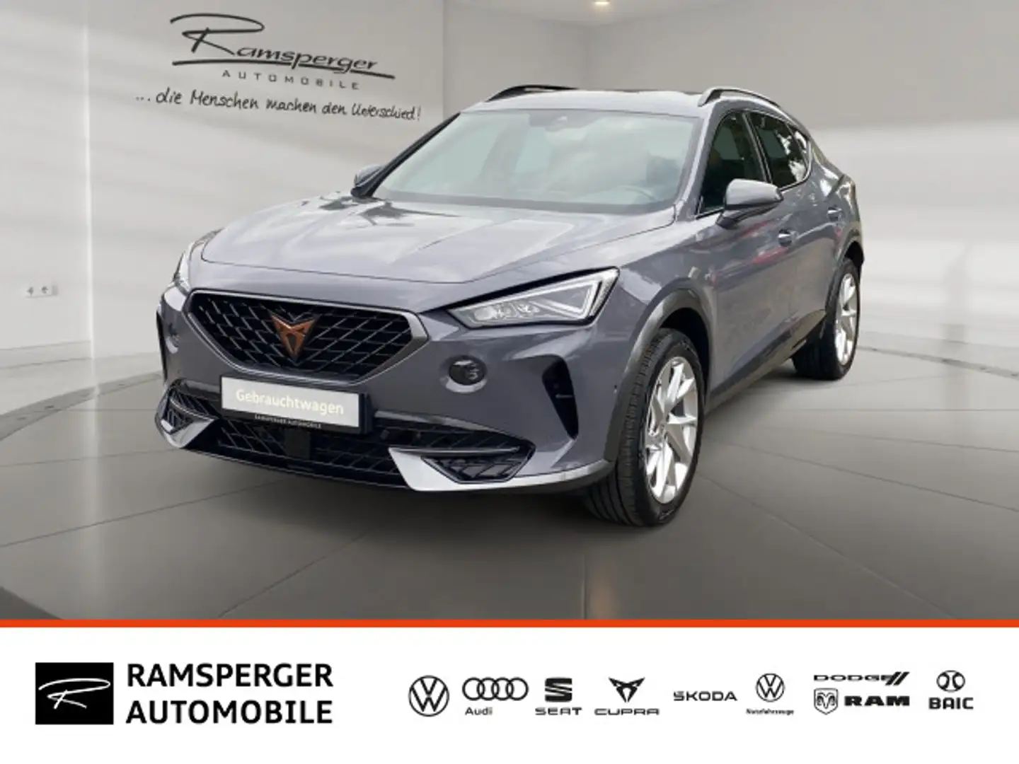CUPRA Formentor 1.5 TSI DSG LED/AHK/Kamera/Assist/uvm. Grau - 1