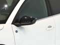 Citroen C4 X BEV 50 KWH ELECTRIC SHINE 136CV 4P Weiß - thumbnail 14