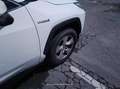 Toyota RAV 4 RAV4 2.5l 220H Business 4WD - thumbnail 12
