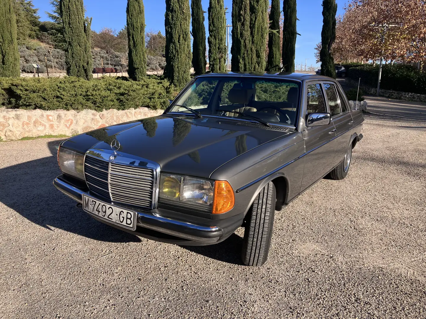 Mercedes-Benz 230 W123 230E Manual Gris - 2