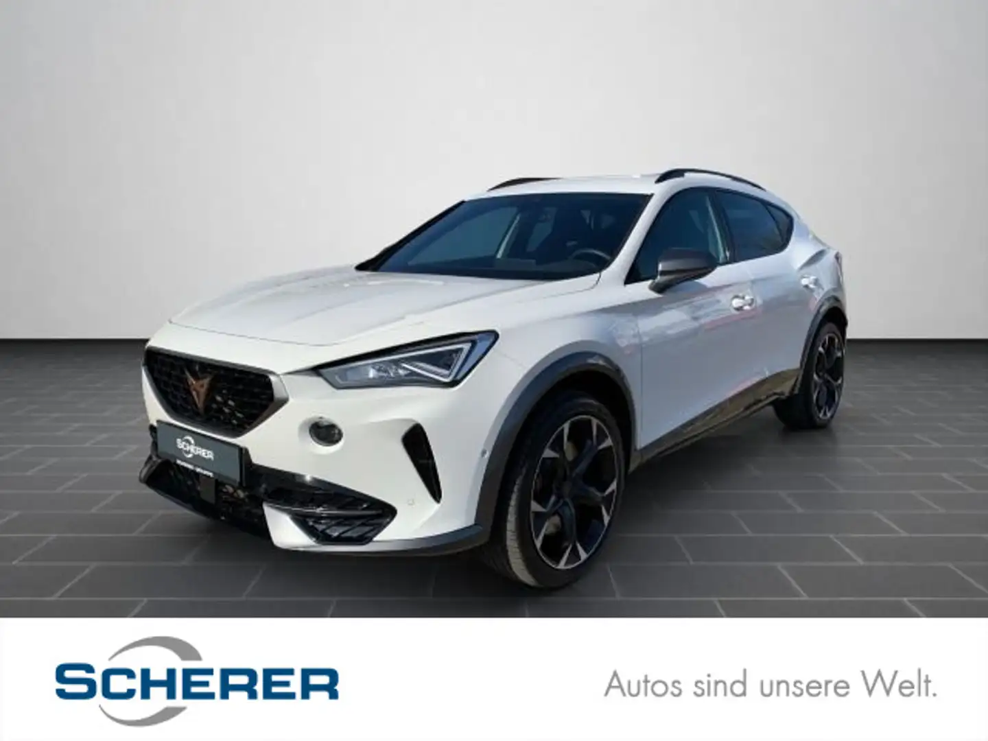 CUPRA Formentor VZ 2.0 TSI DSG 4Drive NAVI TOP VIEW BE Weiß - 1