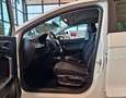 SEAT Ibiza 1.6 TDI 95CV 5 porte Reference Blanc - thumbnail 5