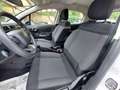 Citroen C3 C3 1.2 puretech Business Bianco - thumbnail 11