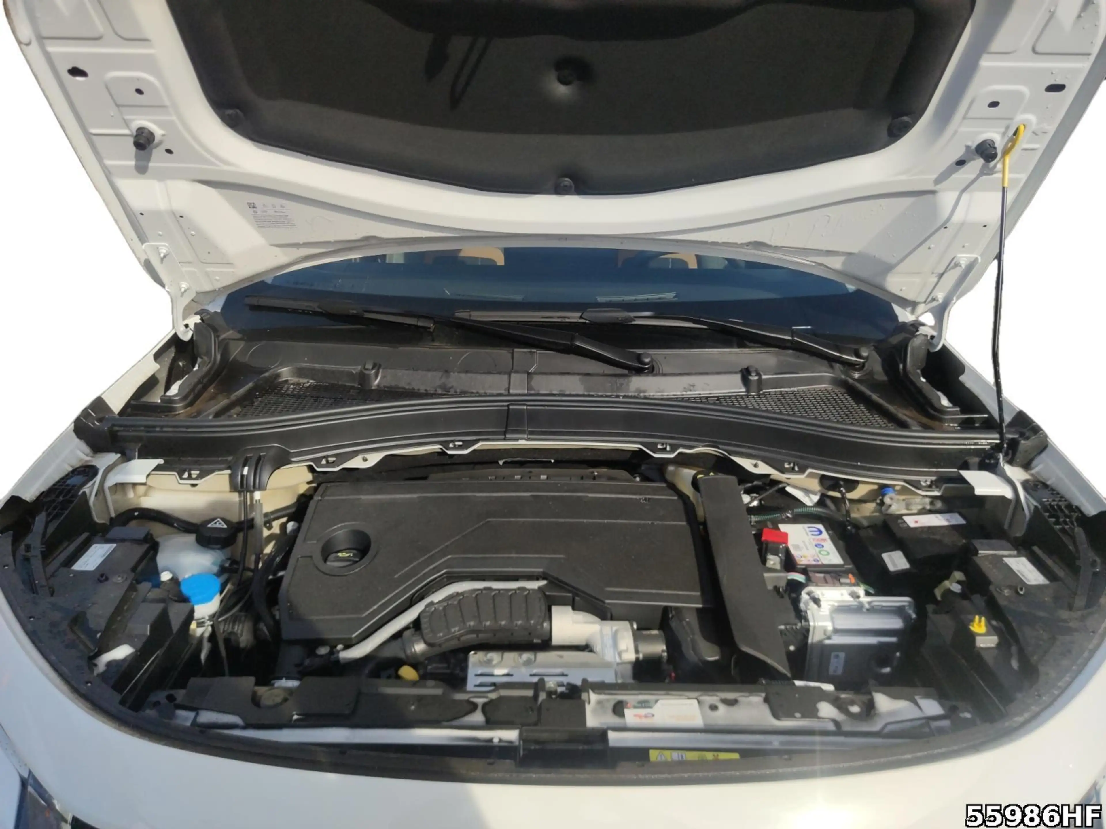 Citroen C3 Aircross Plus Hybrid 145 PS AT — photo 7