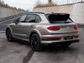 Bentley Bentayga V8S Belgian Equestrian Edition 1/10 MEGA FULL Gris - thumbnail 3