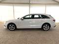 Audi A4 A4 Avant 35 2.0 tdi mhev BusinessAdvanced s-tronic Weiß - thumbnail 3
