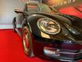 Volkswagen Beetle Beetle Cabrio 1,6 TDI BMT 50s DSG 50s Edition Schwarz - thumbnail 18