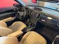 Volkswagen Beetle Beetle Cabrio 1,6 TDI BMT 50s DSG 50s Edition Schwarz - thumbnail 20
