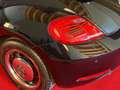 Volkswagen Beetle Beetle Cabrio 1,6 TDI BMT 50s DSG 50s Edition Schwarz - thumbnail 9