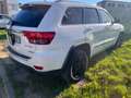 Jeep Grand Cherokee 3.0 crd Limited auto Bianco - thumbnail 2