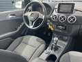 Mercedes-Benz CL B180 CDI FAP  Business Gris - thumbnail 16