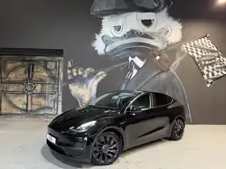 Tesla Performance Dual-Motor AWD SOH 95.8%
