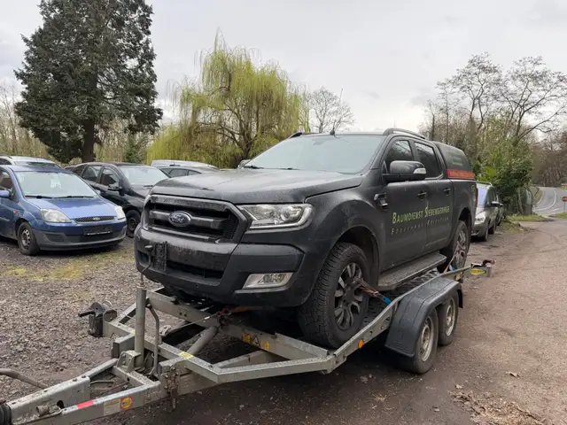 Ford Ranger Wildtrak DoKa 4x4 Motorprobkem