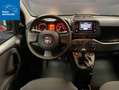 Fiat New Panda 1.0 FireFly 70CV Hybrid S&S-ANCHE PER NEOPATENTATI Rosso - thumbnail 11