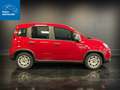 Fiat New Panda 1.0 FireFly 70CV Hybrid S&S-ANCHE PER NEOPATENTATI Rosso - thumbnail 7