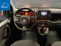 Fiat New Panda 1.0 FireFly 70CV Hybrid S&S-ANCHE PER NEOPATENTATI Rosso - thumbnail 12