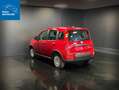 Fiat New Panda 1.0 FireFly 70CV Hybrid S&S-ANCHE PER NEOPATENTATI Rosso - thumbnail 4