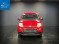 Fiat New Panda 1.0 FireFly 70CV Hybrid S&S-ANCHE PER NEOPATENTATI Rosso - thumbnail 2
