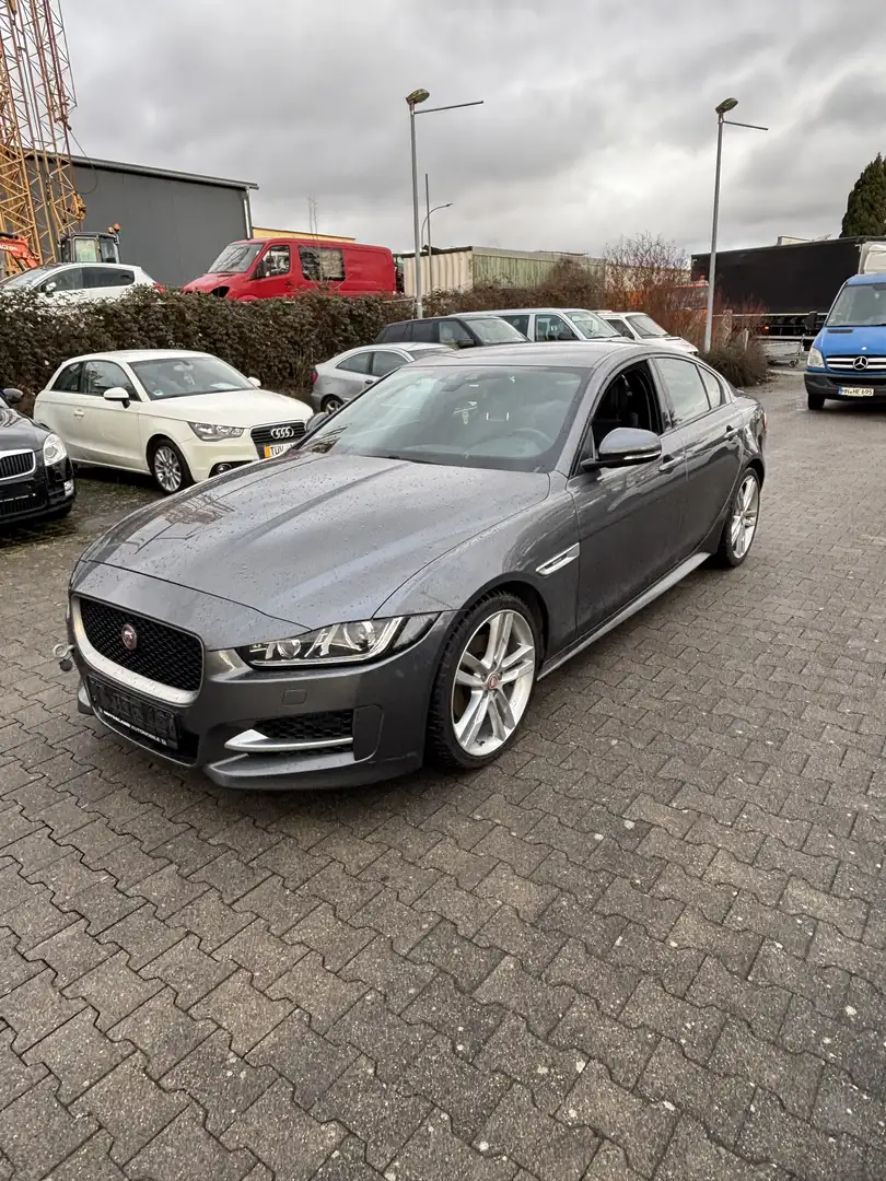 Jaguar XE R-Sport Gris - 1