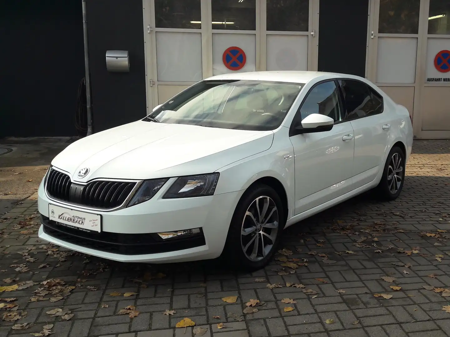 Skoda Octavia Drive/Sitzh. / AHZV/Bluetooth/DAB/Klimaautom./Wi.r Weiß - 1