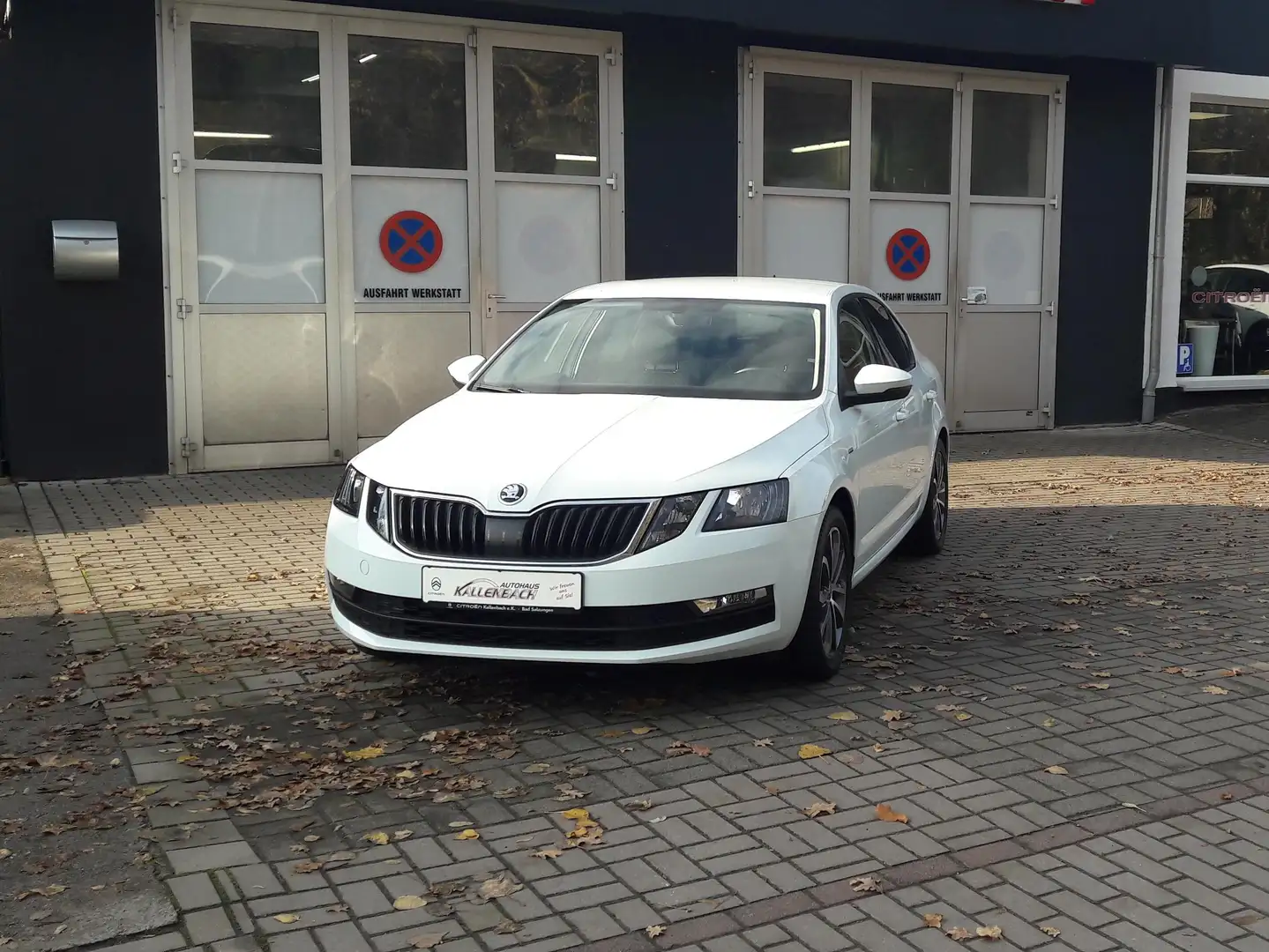 Skoda Octavia Drive/Sitzh. / AHZV/Bluetooth/DAB/Klimaautom./Wi.r Weiß - 2