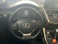Lexus NX 300 300h Business 2WD Gris - thumbnail 12