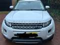 Land Rover Range Rover Evoque 2.2 TD4 4WD Prestige Blanc - thumbnail 1