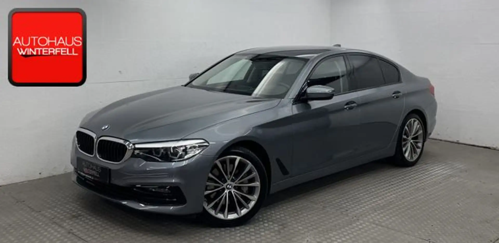 BMW 530 530i Sport Line M-LENK+DRI-ASSISTANT+HUD+STANDH Blauw - 1