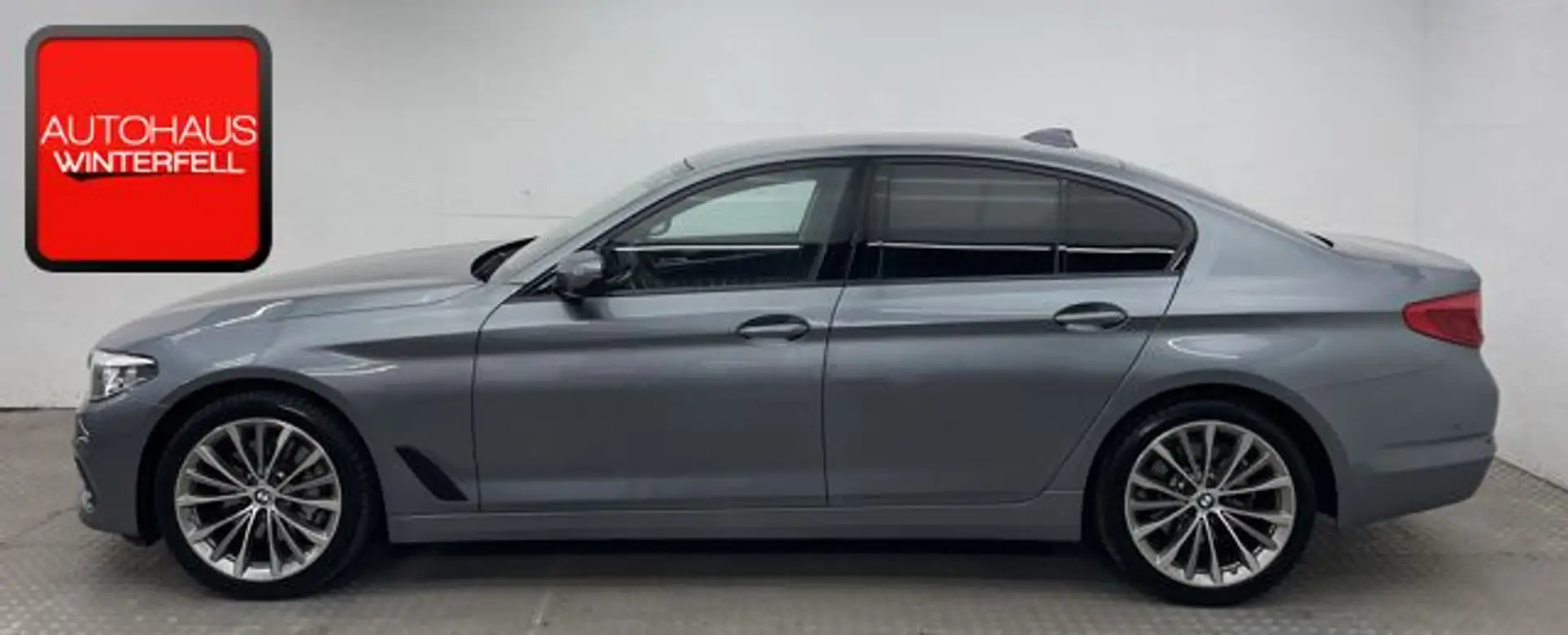 BMW 530 530i Sport Line M-LENK+DRI-ASSISTANT+HUD+STANDH Blauw - 2