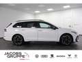 Volkswagen Golf VIII Variant 2.0 TDI R-Line "Black Style" Weiß - thumbnail 4
