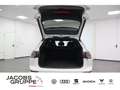 Volkswagen Golf VIII Variant 2.0 TDI R-Line "Black Style" Weiß - thumbnail 25