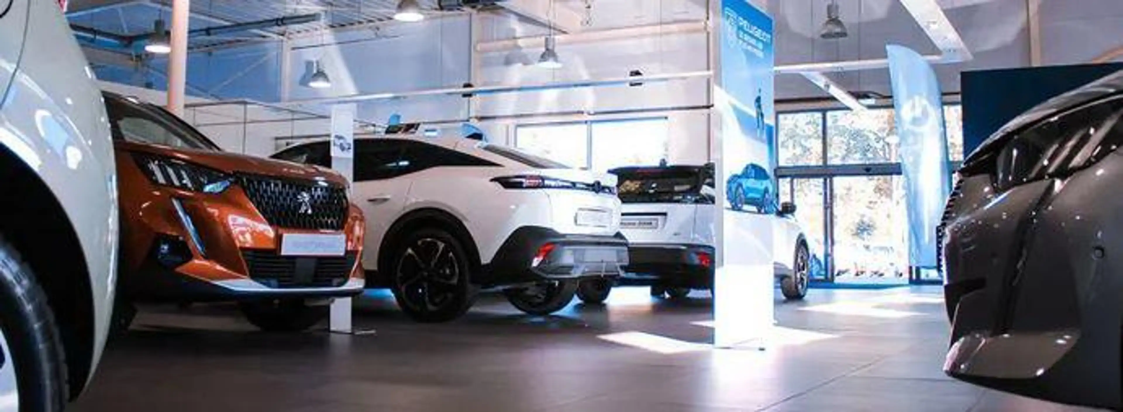 Peugeot 3008 1.2 HYBRID 136pk e-DCS6 Allure I Adaptieve Cruise — photo 32