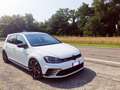 Volkswagen Golf GTI 5p 2.0 tsi Clubsport Business&Drive Bianco - thumbnail 1