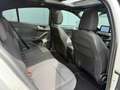 Ford Focus 1.0 EcoBoost ST Line Pano / trekhaak / pdc Grau - thumbnail 24
